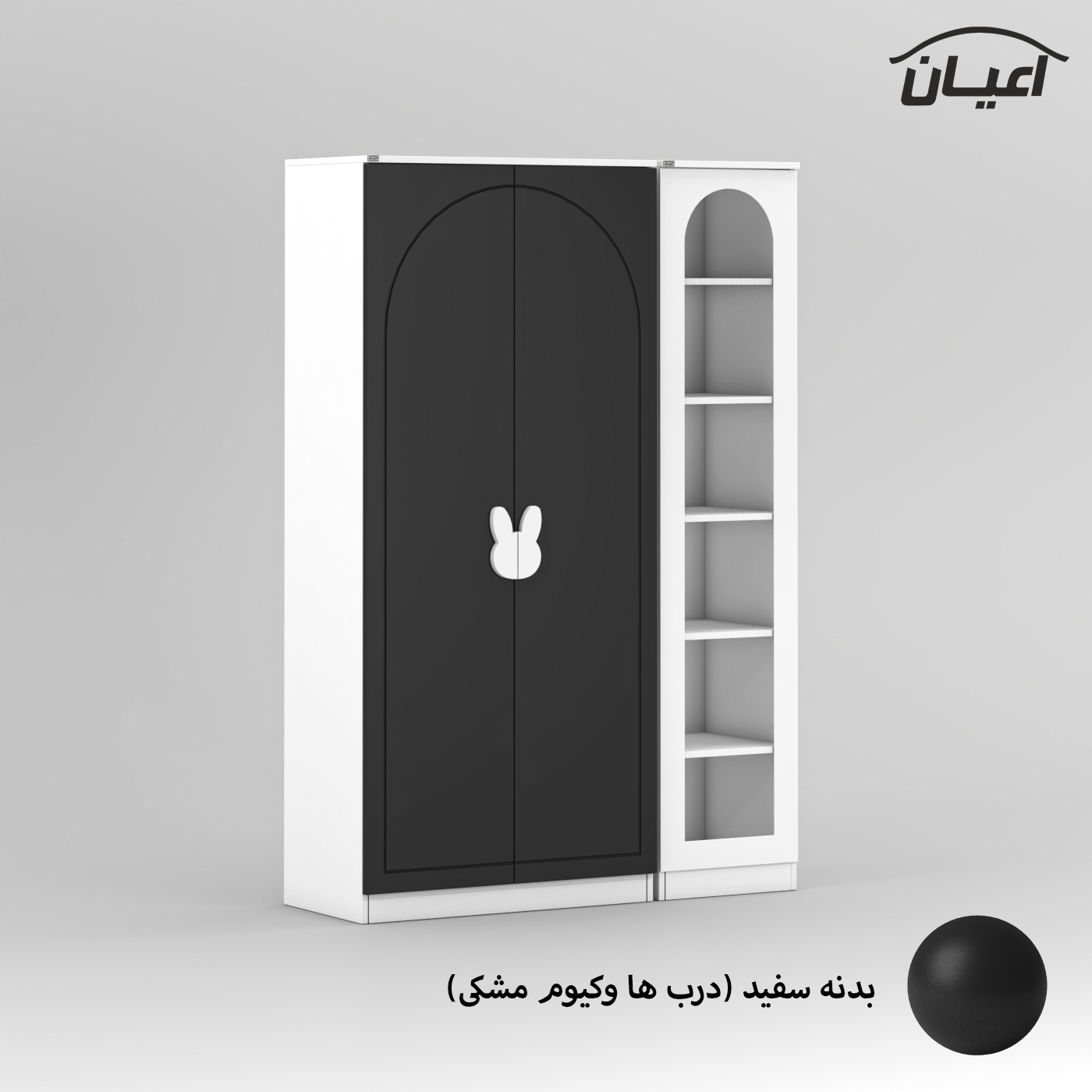 کمد چندمنظوره کودک اعیان مدل FH798 مجموعه دو عددی