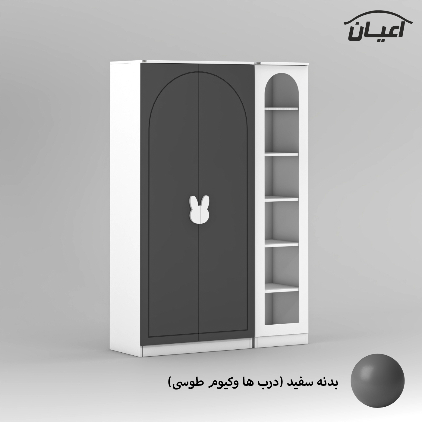 کمد چندمنظوره کودک اعیان مدل FH798 مجموعه دو عددی